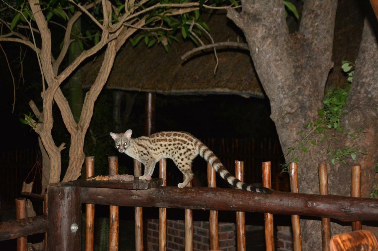 Bona Ngwenya Lodge & Safaris Marloth Park Dış mekan fotoğraf